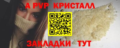 крисы Новодвинск