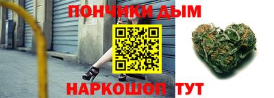 крисы Новодвинск