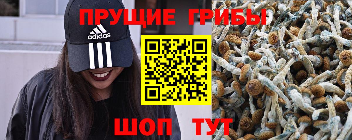 Псилоцибиновые грибы Psilocybe  Вход с VPN  Азов 