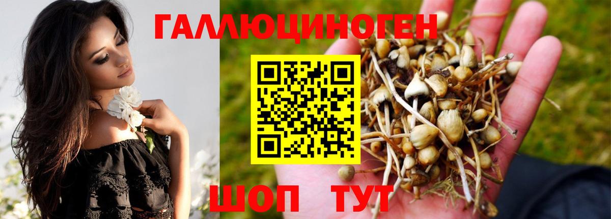 Галлюциногенные грибы мицелий Азов